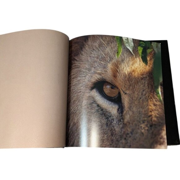 Predator: Life and Death in the African Bush - Coffee table book - Picture 7 of 10